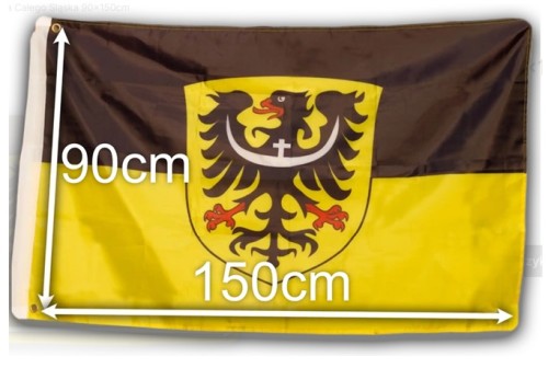 FanaDŚ150.jpg