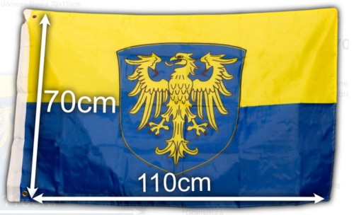 FanaGŚ110.jpg
